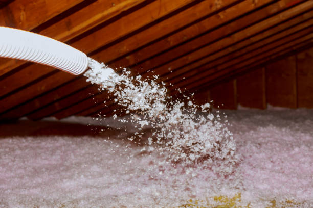 Best Commercial Insulation in Champaign, IL