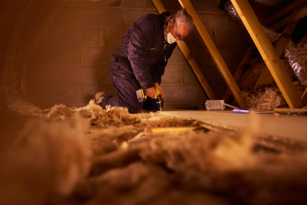 Best Energy Efficiency Solutions in Champaign, IL